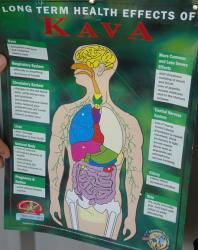 Poster on the long-term effects of kava use